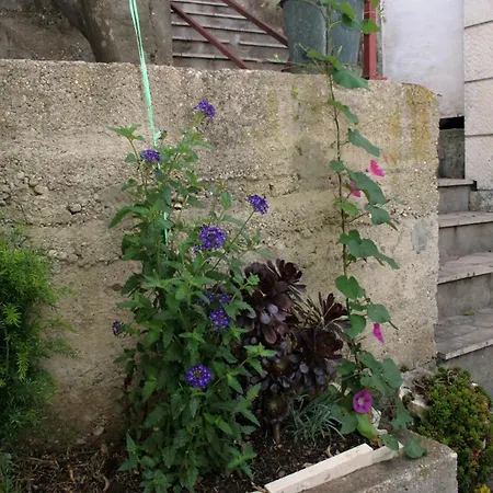 By The Sea - Perna, Peljesac - 4539 דירה *